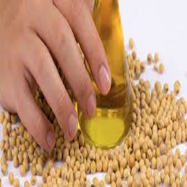 Non Gmo Soybeans / Soya Beans, Soy bean Seeds and Soya bean Seeds OEM High Quality Nut 100% Organic Soybean