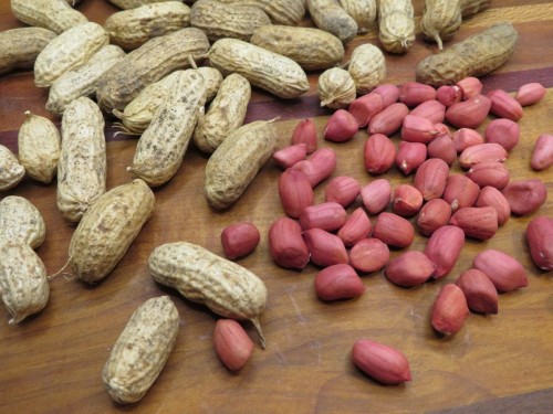 Peanuts / Groundnuts / Earthnuts / Goober / Monkey Nuts